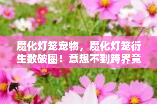 魔化灯笼背后真相让我后背发凉图片