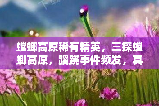 螳螂高原稀有精英,三探螳螂高原,蹊跷事件频发,真相背后发凉 螳螂高原稀有精英,三探螳螂高原,蹊跷事件频发,真相背后发凉