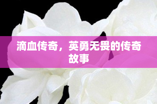 英勇无畏的传奇故事图片