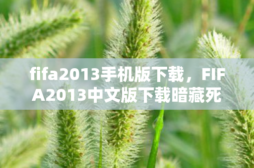 fifa2013手机版下载，FIFA2013中文版下载暗藏死亡名单？离线模式惊现十年未破悬案