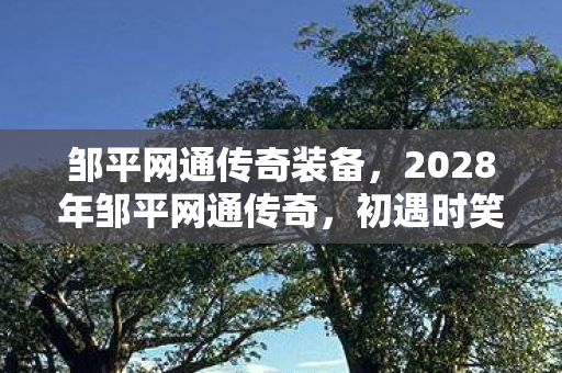 邹平网通传奇装备,2028年邹平网通传奇,初遇时笑语盈,离别后伏笔藏,鼻子一酸泪满眶 邹平网通传奇装备,2028年邹平网通传奇,初遇时笑语盈,离别后伏笔藏,鼻子一酸泪满眶