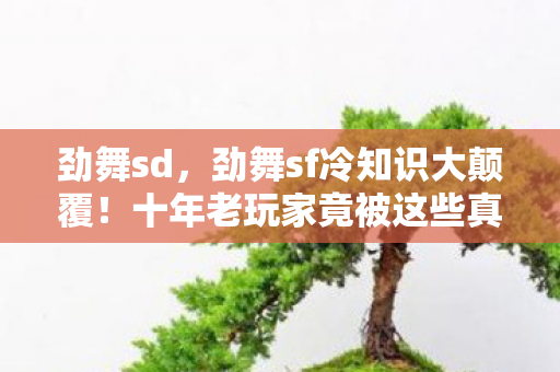 劲舞sd,劲舞sf冷知识大颠覆!十年老玩家竟被这些真相打得目瞪口呆 劲舞sd,劲舞sf冷知识大颠覆!十年老玩家竟被这些真相打得目瞪口呆