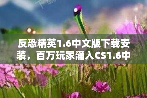反恐精英1.6中文版下载安装,百万玩家涌入CS1.6中文版,人数谜团背后竟藏着惊人破防真相! 反恐精英1.6中文版下载安装,百万玩家涌入CS1.6中文版,人数谜团背后竟藏着惊人破防真相!