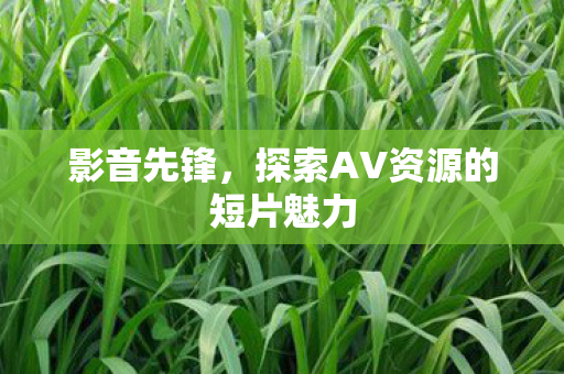 探索AV资源的短片魅力图片
