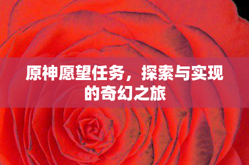 探索与实现的奇幻之旅图片