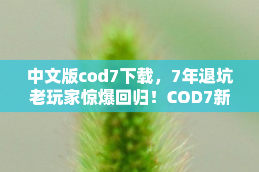 中文版cod7下载,7年退坑老玩家惊爆回归!COD7新版本竟藏着这等逆天操作? 中文版cod7下载,7年退坑老玩家惊爆回归!COD7新版本竟藏着这等逆天操作?