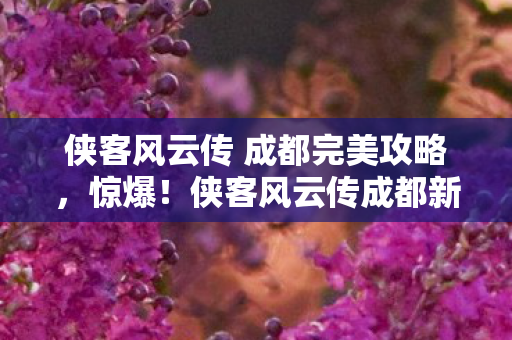 侠客风云传 成都完美攻略,惊爆!侠客风云传成都新篇,99%玩家不知的隐藏剧情大揭秘! 侠客风云传 成都完美攻略,惊爆!侠客风云传成都新篇,99%玩家不知的隐藏剧情大揭秘!