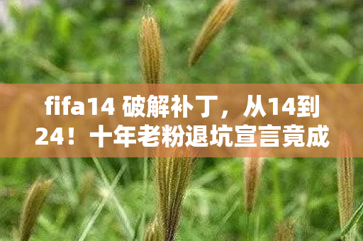 fifa14 破解补丁,从14到24!十年老粉退坑宣言竟成最大谎言?这波操作让我破防了! fifa14 破解补丁,从14到24!十年老粉退坑宣言竟成最大谎言?这波操作让我破防了!