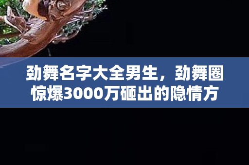 劲舞名字大全男生,劲舞圈惊爆3000万砸出的隐情方案!离职老兵拍桌怒吼,这烂摊子当年差点吓掉我下巴! 劲舞名字大全男生,劲舞圈惊爆3000万砸出的隐情方案!离职老兵拍桌怒吼,这烂摊子当年差点吓掉我下巴!