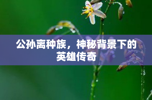 神秘背景下的英雄传奇图片