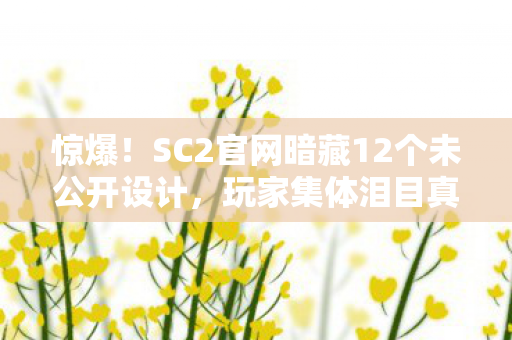 惊爆!SC2官网暗藏12个未公开设计,玩家集体泪目真相竟是…… 惊爆!SC2官网暗藏12个未公开设计,玩家集体泪目真相竟是……