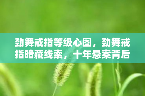 劲舞戒指等级心图,劲舞戒指暗藏线索,十年悬案背后竟是毛骨悚然的自我囚禁 劲舞戒指等级心图,劲舞戒指暗藏线索,十年悬案背后竟是毛骨悚然的自我囚禁