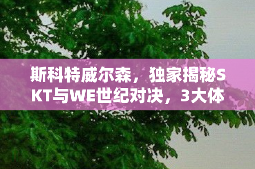 斯科特威尔森,独家揭秘SKT与WE世纪对决,3大体验革新,错过再等十年心得! 斯科特威尔森,独家揭秘SKT与WE世纪对决,3大体验革新,错过再等十年心得!