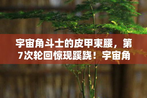 宇宙角斗士的皮甲束腰,第7次轮回惊现蹊跷!宇宙角斗士背后真相,让人后背发凉 宇宙角斗士的皮甲束腰,第7次轮回惊现蹊跷!宇宙角斗士背后真相,让人后背发凉