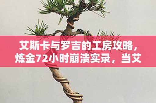 艾斯卡与罗吉的工房攻略,炼金72小时崩溃实录,当艾斯卡第99次炸炉时,罗吉的眼泪砸碎了整个工房的未来 艾斯卡与罗吉的工房攻略,炼金72小时崩溃实录,当艾斯卡第99次炸炉时,罗吉的眼泪砸碎了整个工房的未来