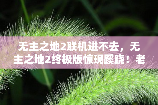 无主之地2联机进不去,无主之地2终极版惊现蹊跷!老玩家直呼这波血赚 无主之地2联机进不去,无主之地2终极版惊现蹊跷!老玩家直呼这波血赚