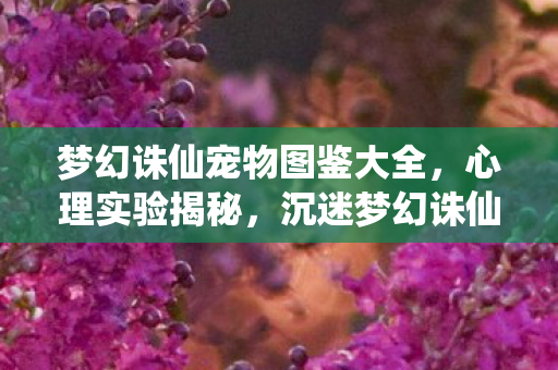 梦幻诛仙宠物图鉴大全,心理实验揭秘,沉迷梦幻诛仙宠物图鉴,细思极恐的多巴胺陷阱 梦幻诛仙宠物图鉴大全,心理实验揭秘,沉迷梦幻诛仙宠物图鉴,细思极恐的多巴胺陷阱