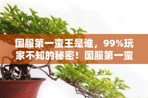 国服第一蛮王是谁,99%玩家不知的秘密!国服第一蛮王背后,竟藏着如此扎心的真相 国服第一蛮王是谁,99%玩家不知的秘密!国服第一蛮王背后,竟藏着如此扎心的真相