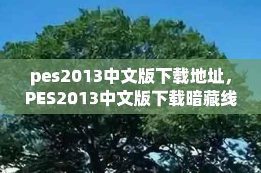 pes2013中文版下载地址,PES2013中文版下载暗藏线索?十年悬案竟与毛骨悚然的选择有关 pes2013中文版下载地址,PES2013中文版下载暗藏线索?十年悬案竟与毛骨悚然的选择有关