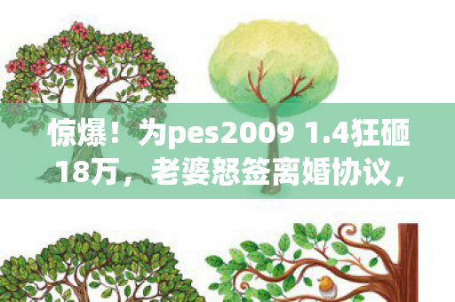 惊爆!为pes2009 1.4狂砸18万,老婆怒签离婚协议,我悔不当初! 惊爆!为pes2009 1.4狂砸18万,老婆怒签离婚协议,我悔不当初!
