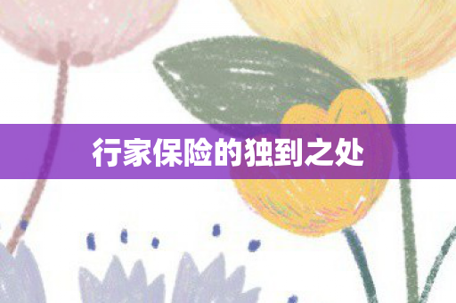 行家保险的独到之处图片