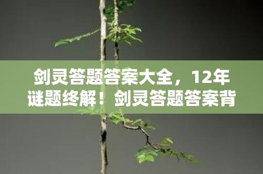 剑灵答题答案大全,12年谜题终解!剑灵答题答案背后的时光密码,泪目了 剑灵答题答案大全,12年谜题终解!剑灵答题答案背后的时光密码,泪目了