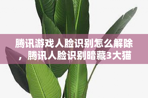 腾讯游戏人脸识别怎么解除,腾讯人脸识别暗藏3大猫腻!氪金玩家,这波操作太上头了 腾讯游戏人脸识别怎么解除,腾讯人脸识别暗藏3大猫腻!氪金玩家,这波操作太上头了
