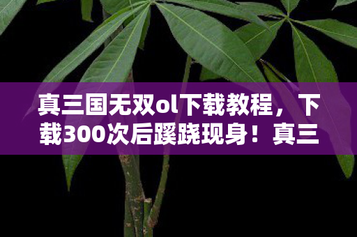 真三国无双ol下载教程,下载300次后蹊跷现身!真三国无双ol竟让人后背发凉 真三国无双ol下载教程,下载300次后蹊跷现身!真三国无双ol竟让人后背发凉