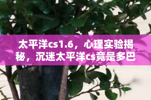 太平洋cs1.6,心理实验揭秘,沉迷太平洋cs竟是多巴胺回路的细思极恐手术 太平洋cs1.6,心理实验揭秘,沉迷太平洋cs竟是多巴胺回路的细思极恐手术