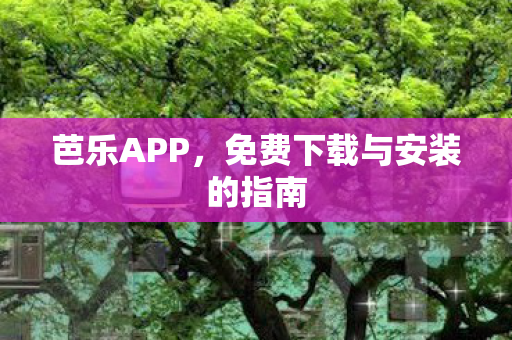 免费下载与安装的指南图片