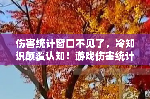 伤害统计窗口不见了，冷知识颠覆认知！游戏伤害统计背后，竟藏着目瞪口呆的隐形炸弹