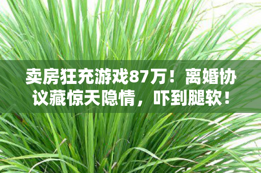 卖房狂充游戏87万!离婚协议藏惊天隐情,吓到腿软! 卖房狂充游戏87万!离婚协议藏惊天隐情,吓到腿软!