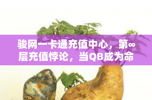 骏网一卡通充值中心,第∞层充值悖论,当QB成为命运货币,自由意志在数据洪流中溺亡 骏网一卡通充值中心,第∞层充值悖论,当QB成为命运货币,自由意志在数据洪流中溺亡