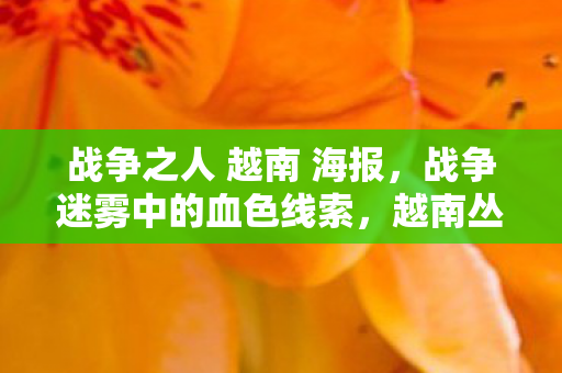 战争之人 越南 海报，战争迷雾中的血色线索，越南丛林悬案，毛骨悚然十年未解