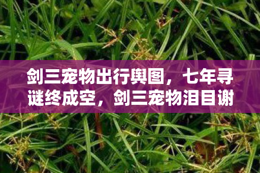 剑三宠物出行舆图,七年寻谜终成空,剑三宠物泪目谢幕时 剑三宠物出行舆图,七年寻谜终成空,剑三宠物泪目谢幕时
