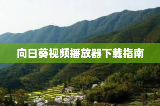 向日葵视频播放器下载指南图片