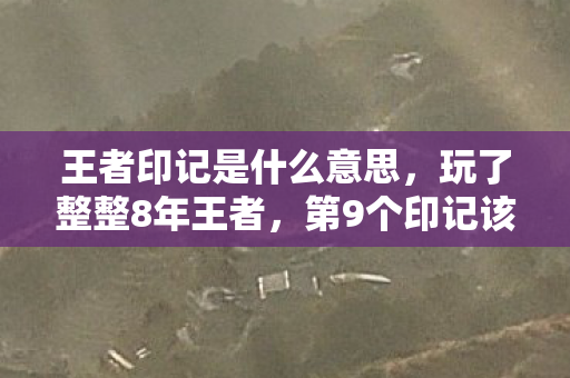 王者印记是什么意思，玩了整整8年王者，第9个印记该冲巅峰还是就此封印？