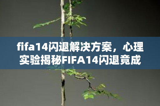 fifa14闪退解决方案，心理实验揭秘FIFA14闪退竟成沉迷催化剂？多巴胺陷阱细思极恐！