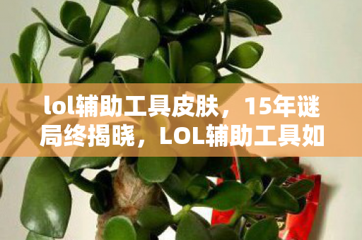 lol辅助工具皮肤,15年谜局终揭晓,LOL辅助工具如何改写亿万玩家命运?泪目真相 lol辅助工具皮肤,15年谜局终揭晓,LOL辅助工具如何改写亿万玩家命运?泪目真相