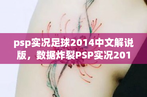 psp实况足球2014中文解说版,数据炸裂PSP实况2014销量暴跌97%背后,竟藏着千万级玩家未死的狂欢密码 psp实况足球2014中文解说版,数据炸裂PSP实况2014销量暴跌97%背后,竟藏着千万级玩家未死的狂欢密码
