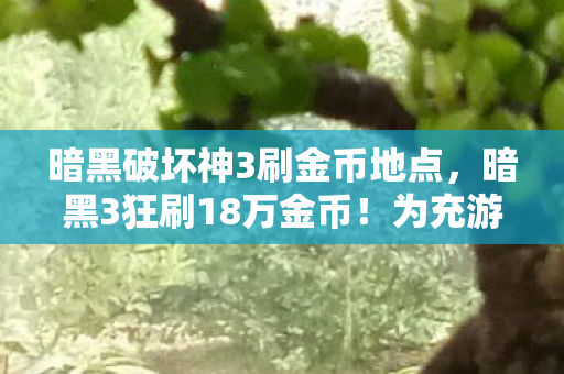 暗黑破坏神3刷金币地点,暗黑3狂刷18万金币!为充游戏卖房离婚,这隐情让人吓一跳! 暗黑破坏神3刷金币地点,暗黑3狂刷18万金币!为充游戏卖房离婚,这隐情让人吓一跳!