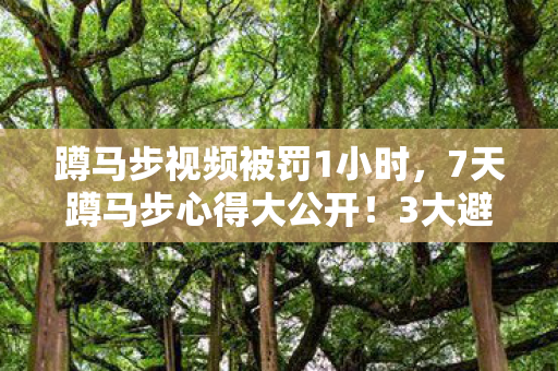 蹲马步视频被罚1小时,7天蹲马步心得大公开!3大避坑指南让你少走十年弯路 蹲马步视频被罚1小时,7天蹲马步心得大公开!3大避坑指南让你少走十年弯路