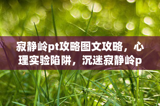 寂静岭pt攻略图文攻略,心理实验陷阱,沉迷寂静岭pt三年,细思极恐的自我囚禁 寂静岭pt攻略图文攻略,心理实验陷阱,沉迷寂静岭pt三年,细思极恐的自我囚禁