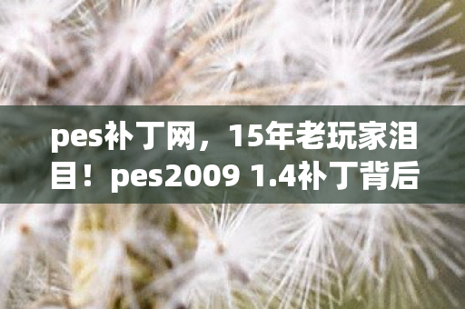 pes补丁网,15年老玩家泪目!pes2009 1.4补丁背后,谁在守护这份情怀? pes补丁网,15年老玩家泪目!pes2009 1.4补丁背后,谁在守护这份情怀?