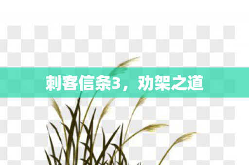 刺客信条3图片
