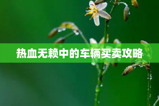 热血无赖中的车辆买卖攻略图片