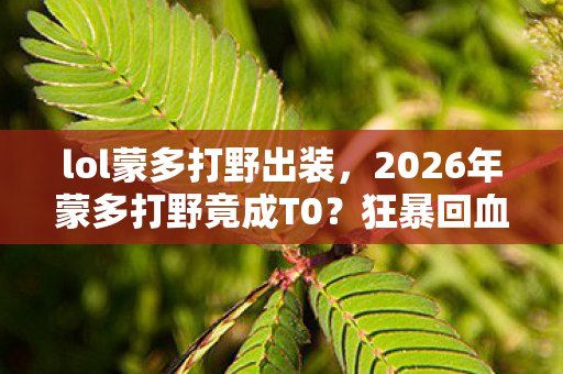 lol蒙多打野出装,2026年蒙多打野竟成T0?狂暴回血背后藏着什么惊天秘密! lol蒙多打野出装,2026年蒙多打野竟成T0?狂暴回血背后藏着什么惊天秘密!