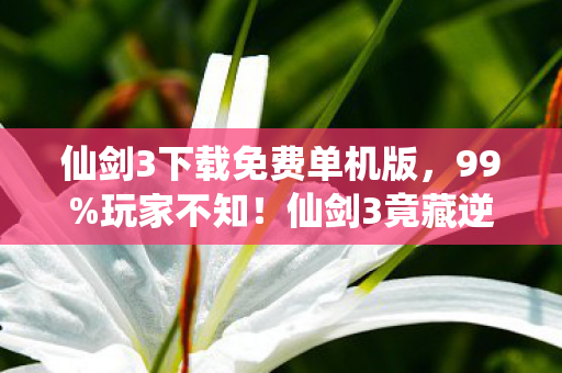 仙剑3下载免费单机版,99%玩家不知!仙剑3竟藏逆天玩法,下载重玩颠覆你的认知! 仙剑3下载免费单机版,99%玩家不知!仙剑3竟藏逆天玩法,下载重玩颠覆你的认知!