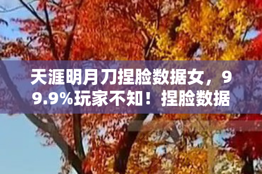 天涯明月刀捏脸数据女,99.9%玩家不知!捏脸数据暗藏3大数值陷阱,策划绝不会说的真相 天涯明月刀捏脸数据女,99.9%玩家不知!捏脸数据暗藏3大数值陷阱,策划绝不会说的真相