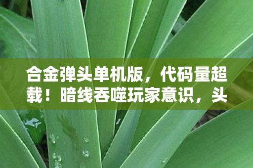 合金弹头单机版，代码量超载！暗线吞噬玩家意识，头皮发麻的赛博战场真相
